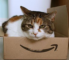 Amazon Workers Accused Of Taking Bribes And Deleting Customer Reviews