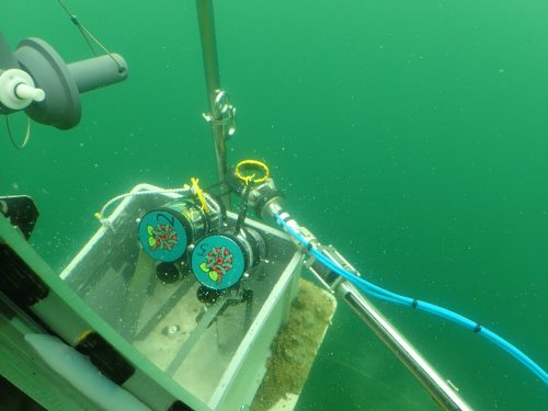 Raspberry Pi Picam Marine