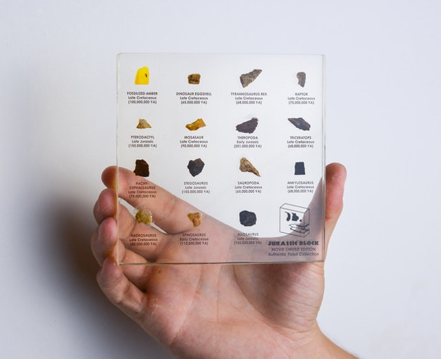jurassic-blocks-1.jpg