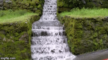 made at imgflip.com