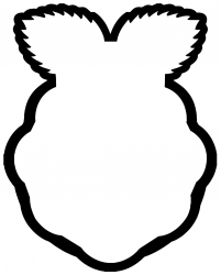 Raspberry Pi laser cut box