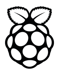 RASPBERRY PI HOLOGRAM