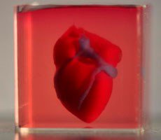 Scientists 3D Print Mini Human Heart Using Patient’s Own Cells