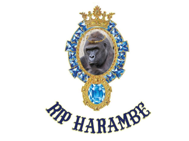 rip-harambe-elon-musk.jpg