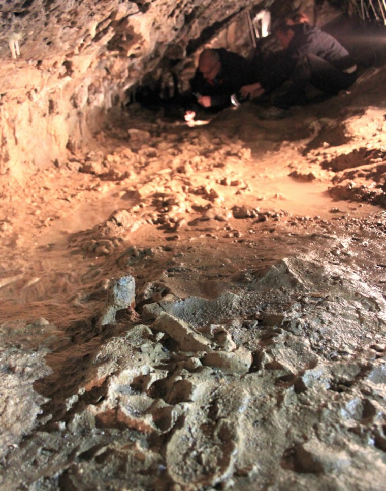 Photo of archaeologists studying ancient footprints.