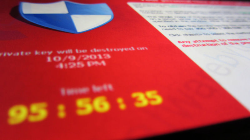 Cryptolocker was one of the ransomware pioneers, bringing together file encryption and bitcoin payment.