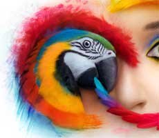 Adobe Strong-Arms Older Creative Cloud App Users With Sketchy Letters Threatening Legal Issues