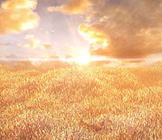 3DMark Is Adding A PCI Express Benchmark Right As AMD Ryzen 3000 And X570 Arrive