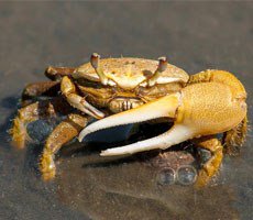 GandCrab Ransomware Crew To Retire After $2 Billion Shakedown Of Victims