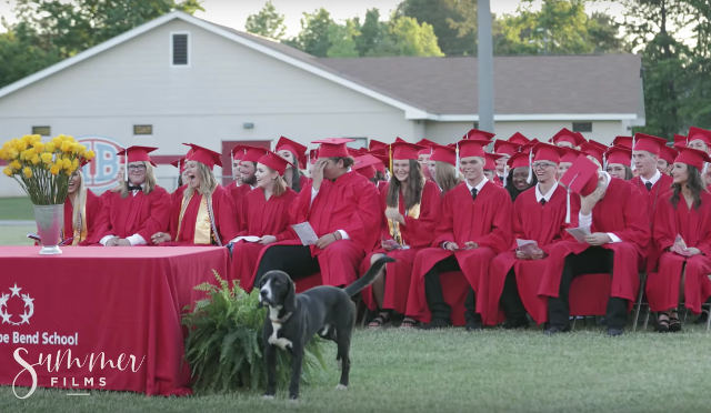dog-at-high-school-graduation.jpg