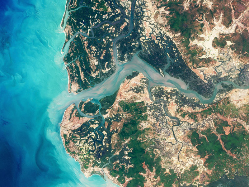Dark green mangroves along Senegal's Casamance River as it meets the sea.