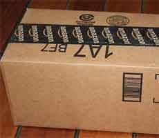 Amazon Workers Wage Strike And Urge Boycott On Prime Day Oppression