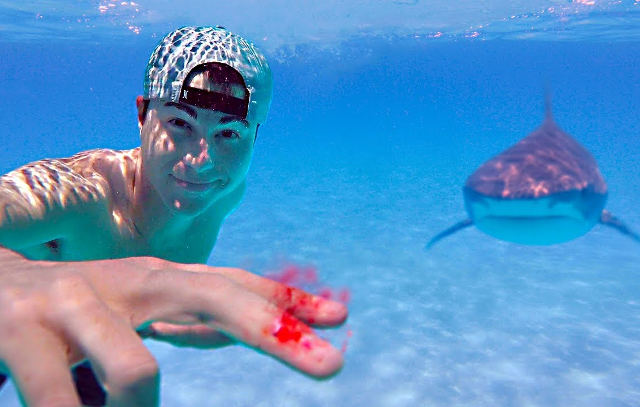 sharks-and-blood.jpg