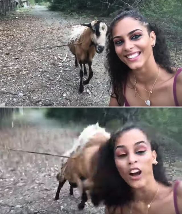 goat-selfie.jpg