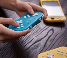 8BitDo's Nintendo Switch Lite Controller Wields Dual D-Pads And Attractive Price