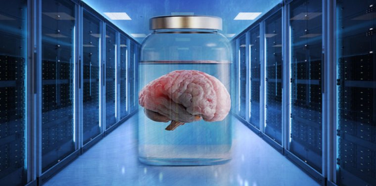 As far as we know, none of the storage vendors using AI have gone <a href='https://arstechnica.com/science/2019/07/brains-scale-better-than-cpus-so-intel-is-building-brains/'>neuromorphic</a> yet—let alone biological.