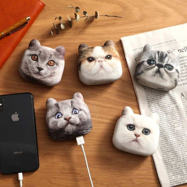 cat-head-phone-chargers-1.jpg