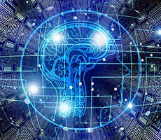 Inception: Scientists Have Implanted Memories In Birds To Teach Them New Songs