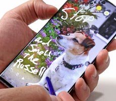 Here's How To Join The Samsung Galaxy Note 10 Android 10 Beta Program