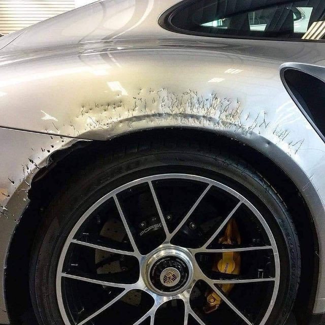 dog-chews-porsche.jpg