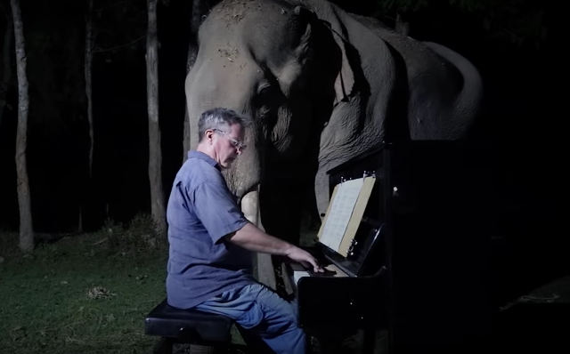 piano-for-elephants.jpg