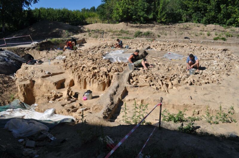 Enigmatic circles of mammoth bones in eastern Europe date to Ice Age