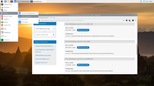 The newly installed Citrix Workspace client