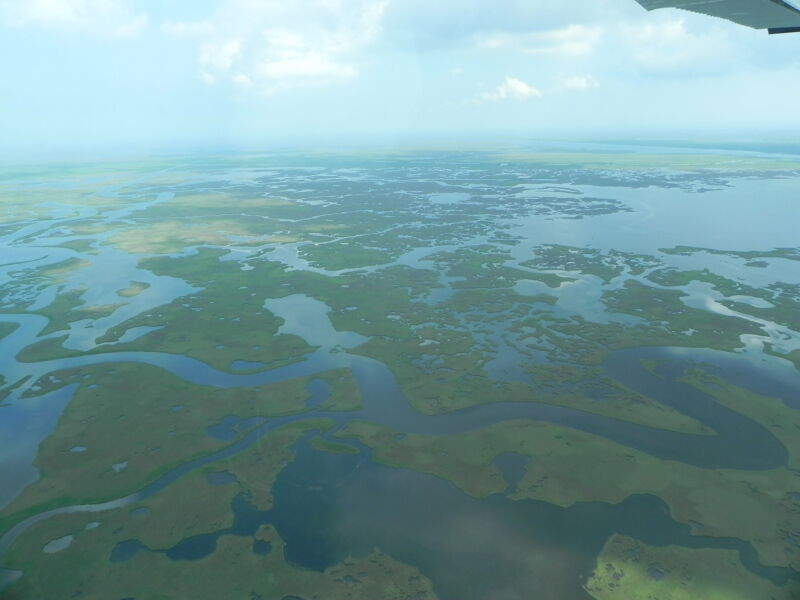 The drowning of Louisiana's wetlands is "inevitable."