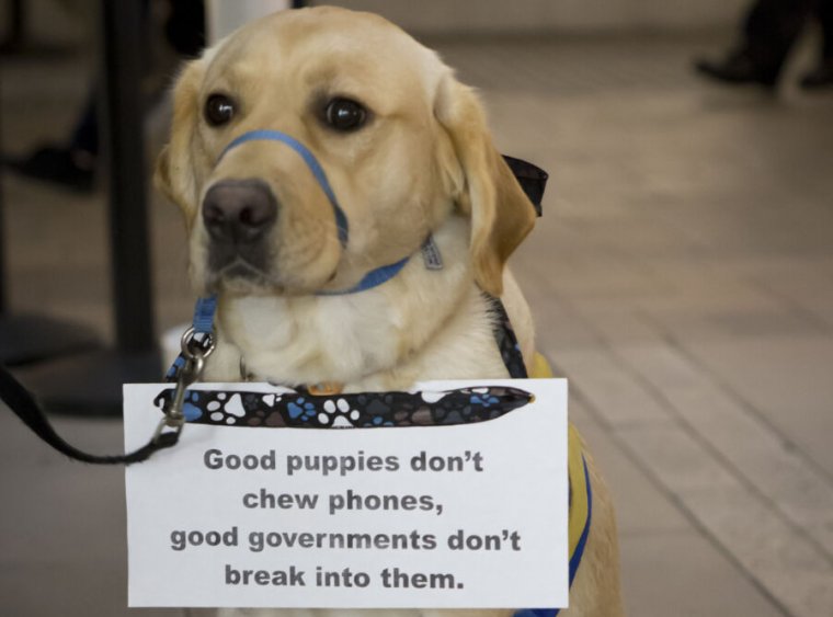 A dog wears a sign which reads