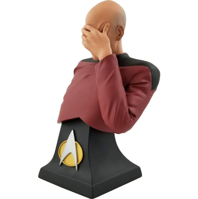 picard-faceplam-bust-1.jpg