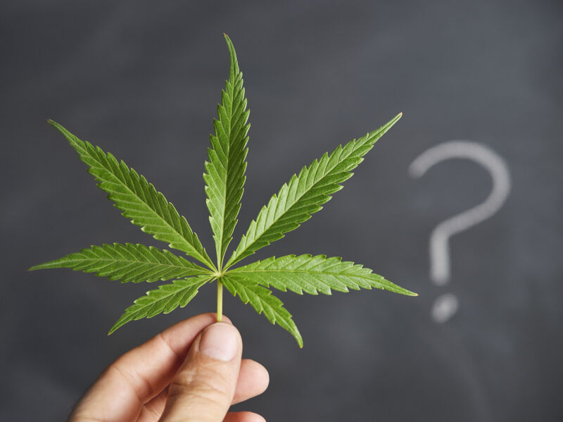When you talk about weed, do you call it “cannabis” or “marijuana”?