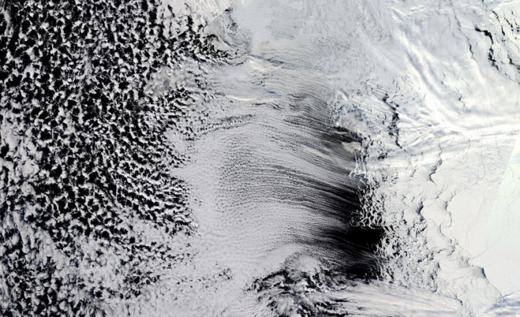 This photo of Antarctic ice looks like an abstract black-and-white painting.