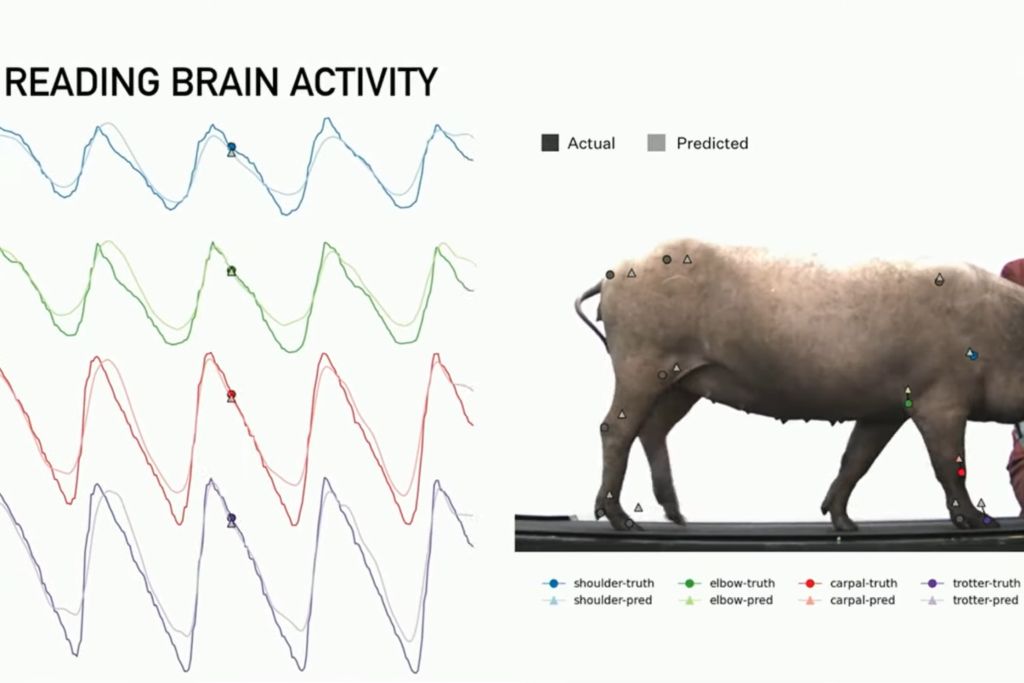 neuralink-update.jpg