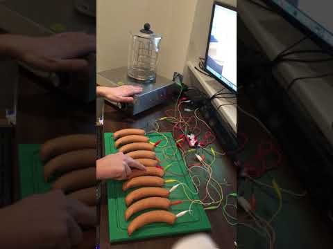 sausage-piano.jpg