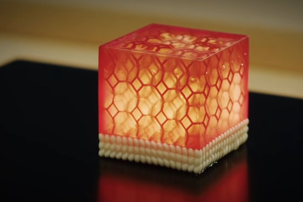 sushi-singularity-3.jpg