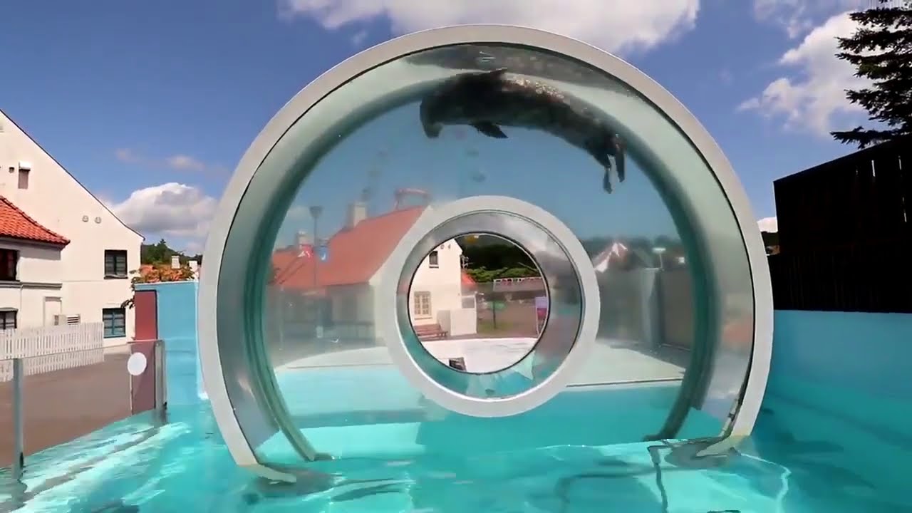 circulating-seal.jpg