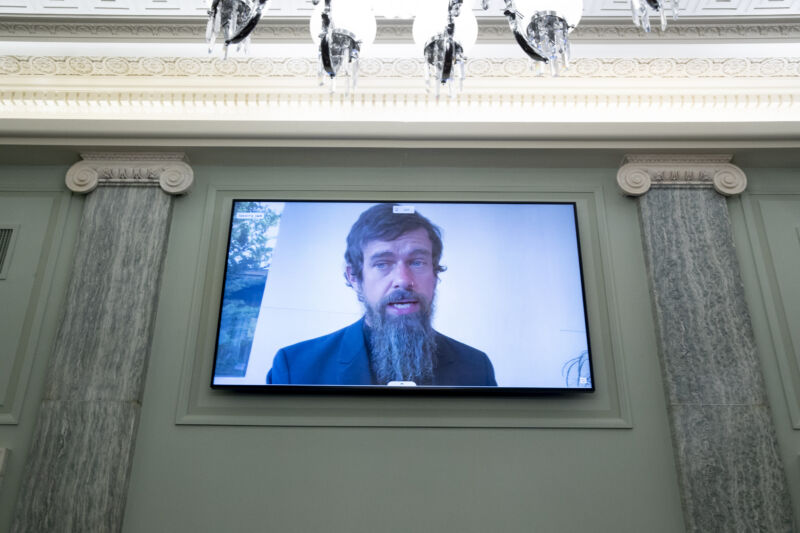 A man with a massive beard talks on a flatscreen between a pair of faux columns.