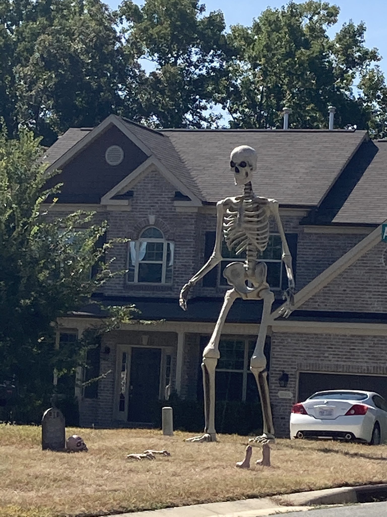 giant-halloween-skeleton.jpg