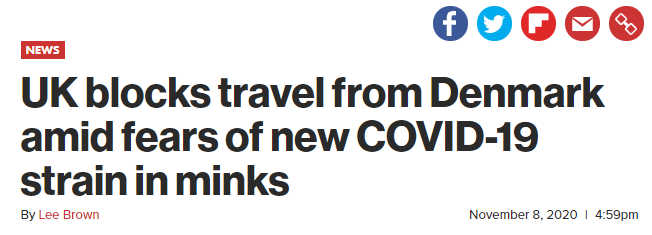 Screenshot from New York Post