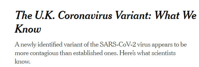 Screenshot from The New York Times