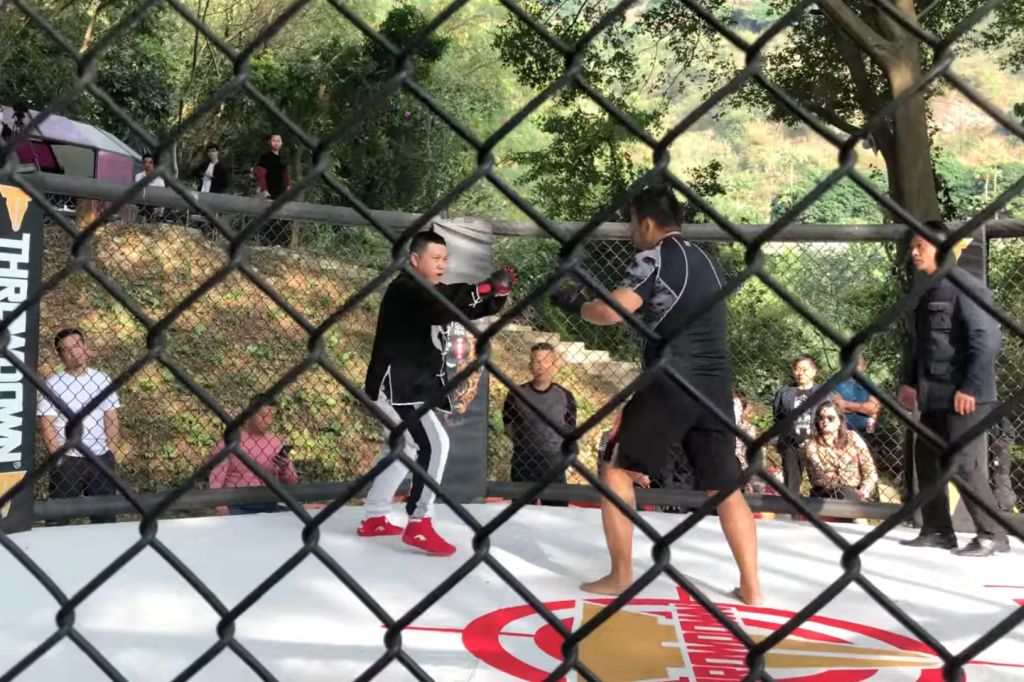 chinese-tai-chi-mma-fight.jpg