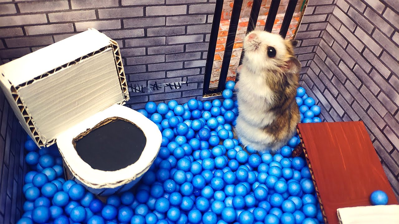 mr-hamster-scorpion-maze.jpg