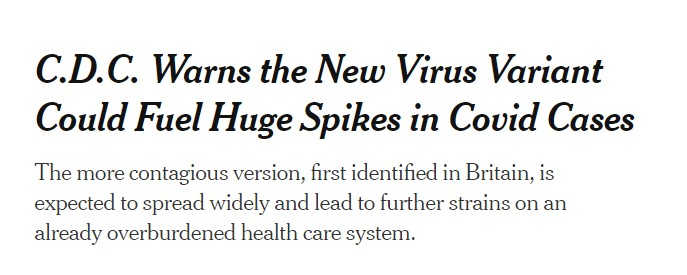 Screenshot from The New York Times