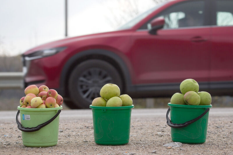 We don't know what the Apple Car will look like, so here's a picture of some apples and a car.