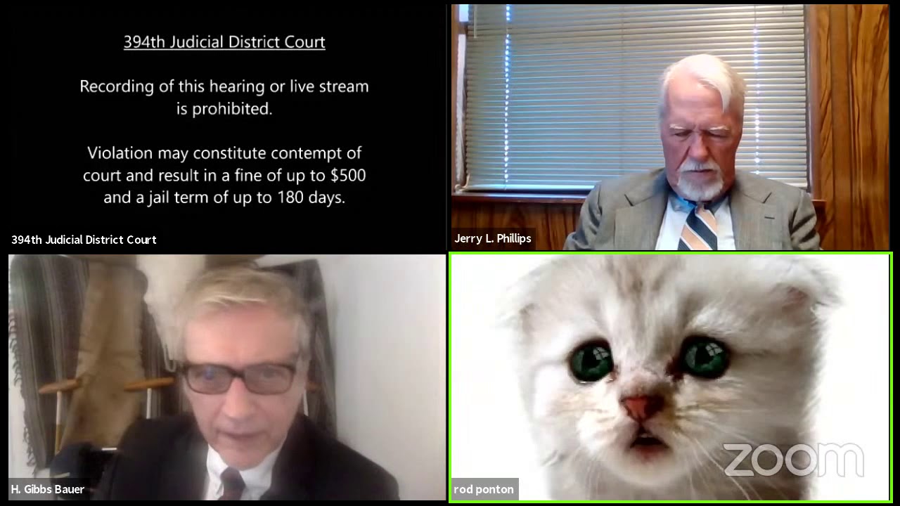 zoom-cat-attorney.jpg