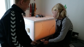 children watching over the incubator