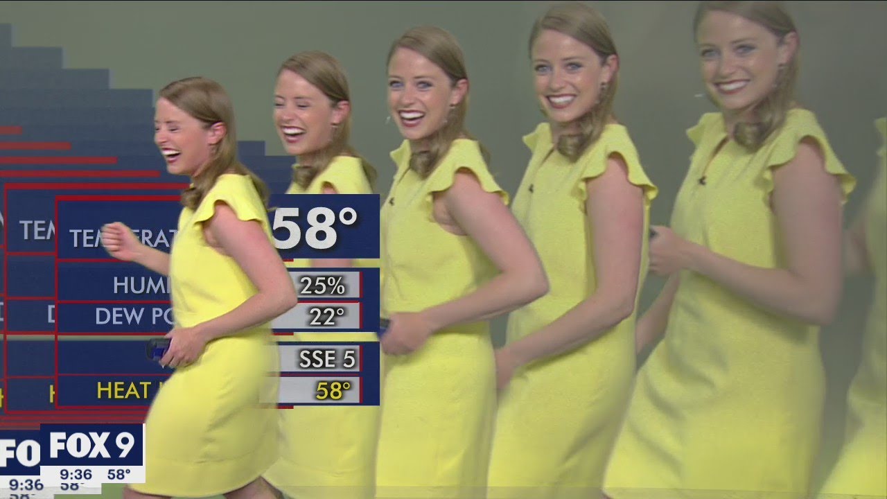 meteorologist-loses-it.jpg
