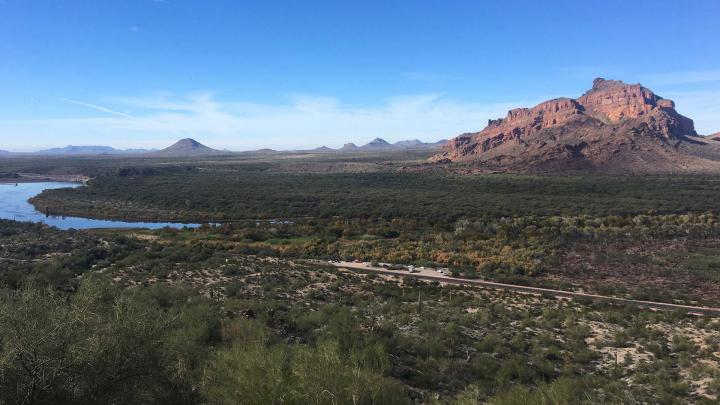 In 2020, Intel partnered with the National Forest Foundation in Phase III of a project replacing invasive Arundo and Tamarix weed species with native flora and revegetating burned-off areas. This phase of the project aims to restore 79 million gallons of fresh water per year.