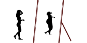 Weight Loss Slimming Diet Health Anorexia Fat