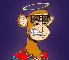 Shocker! DOJ Arrests NFT Sellers For Pulling The Rug In A $1.1M Fraud Scheme